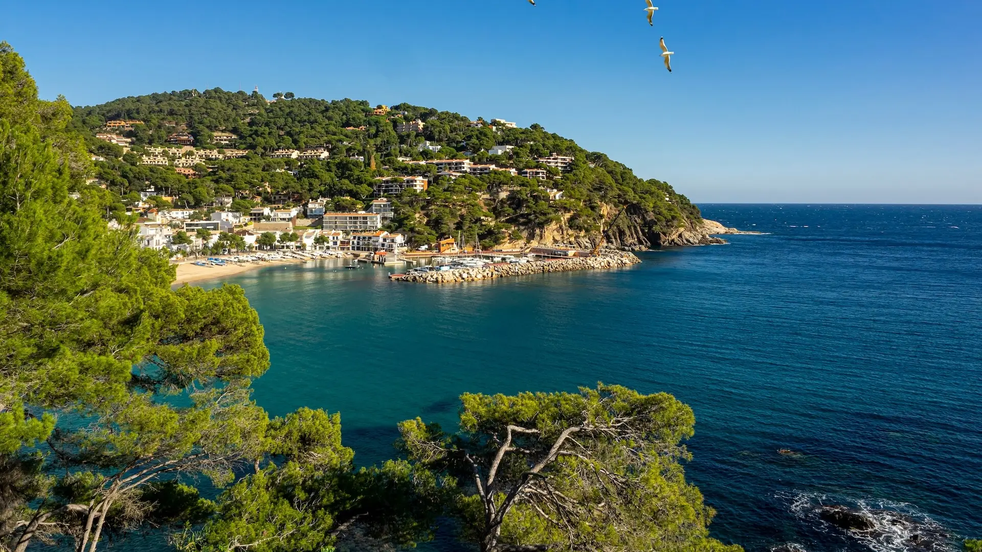 Beautiful cove in Roses, Costa Brava